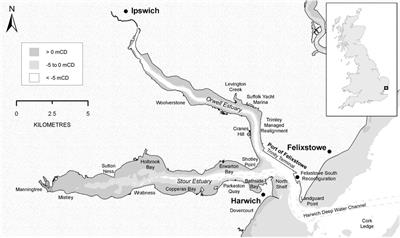 Detailed modelling to evaluate the effectiveness of sediment recycling on coastal habitat